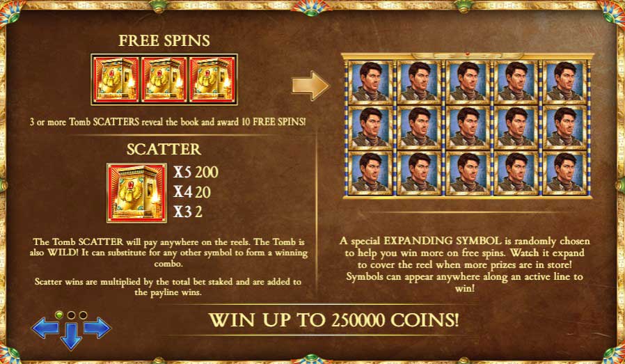 Book of Dead slot game free spins and scatter